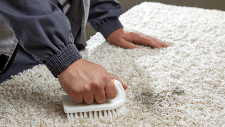 Professional Rug Cleaning Chadstone